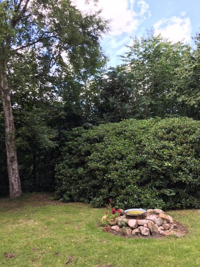 Apartmán Muehlenweg- Tante Lise Süderlügum Exteriér fotografie